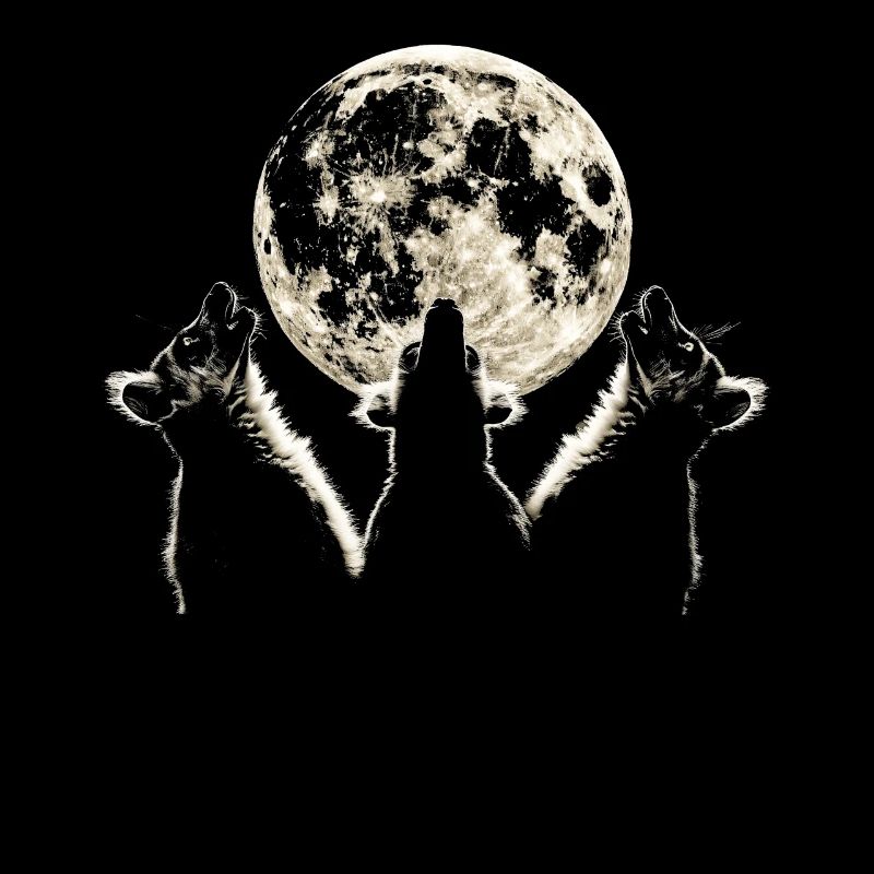 Lemur Ringtail Howling Moon