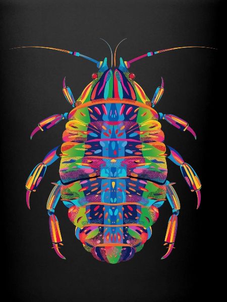 Isopod Pop Art