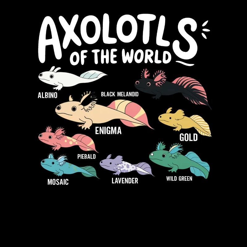 Axolotls du monde Mignon Anime Salamandre