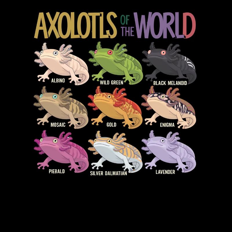 Axolotls du monde Mignon Anime Salamandre