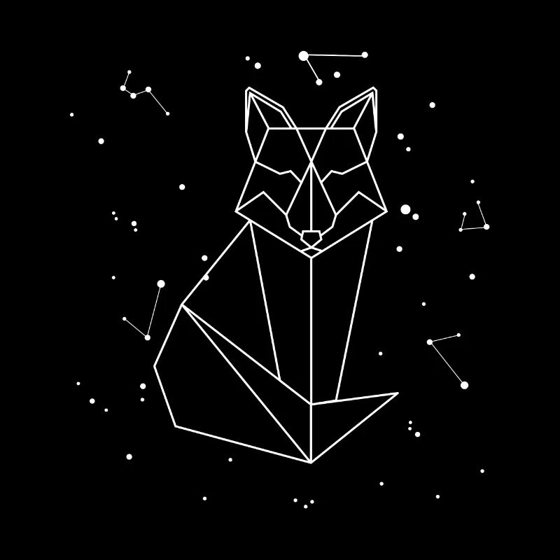 Sternbild Fox Constellation Red Fox Canidae