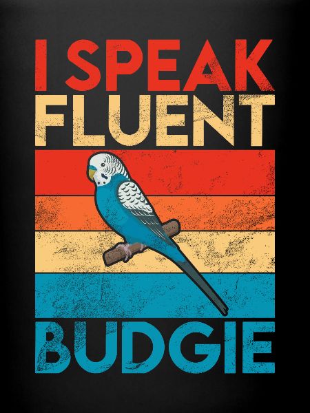 Budgie Gift