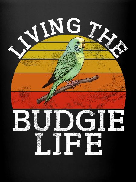 Budgie Gift
