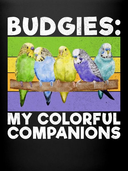Budgie Gift