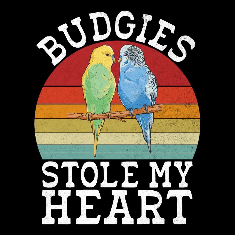 Budgie Gift
