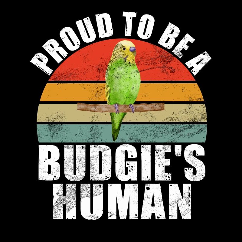Budgie Gift