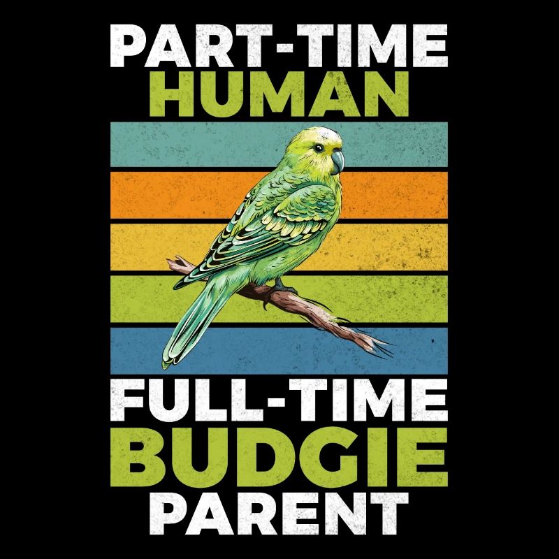 Budgie Gift