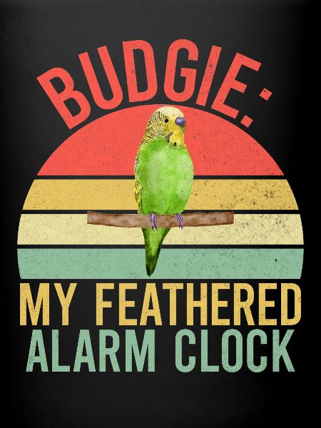 Budgie Gift
