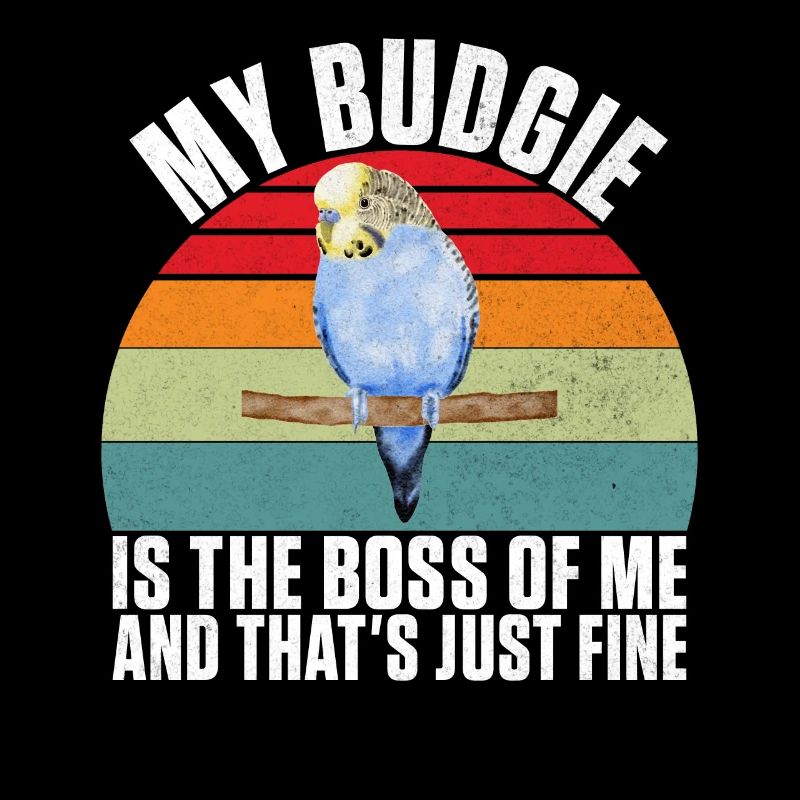 Budgie Gift