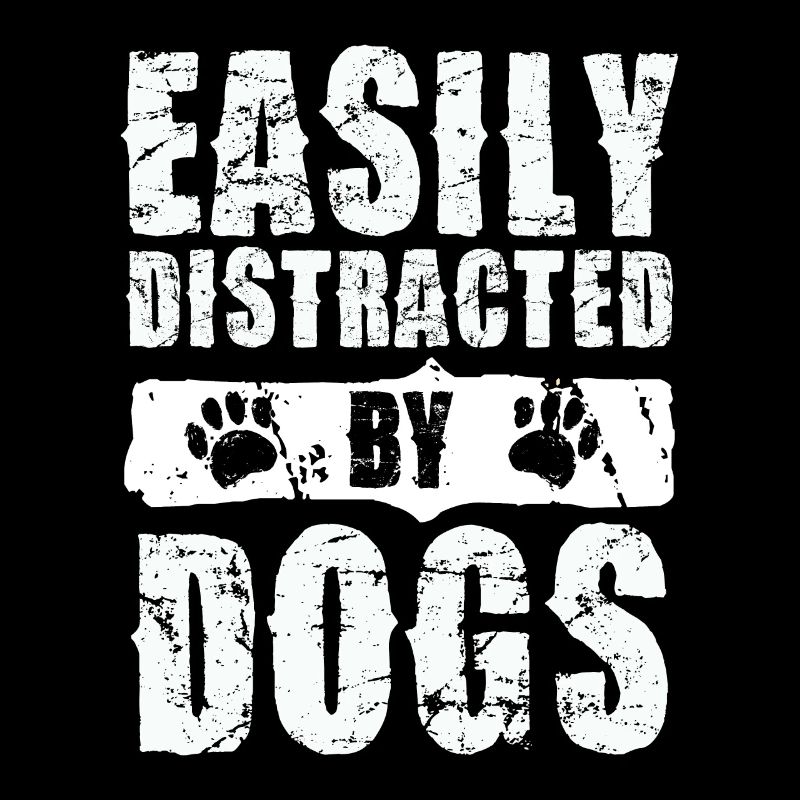 Easily distracted by dogs
