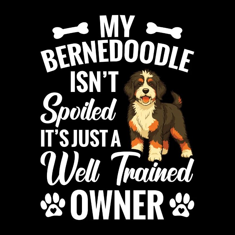 My Bernedoodle isn't spoiled, it's just