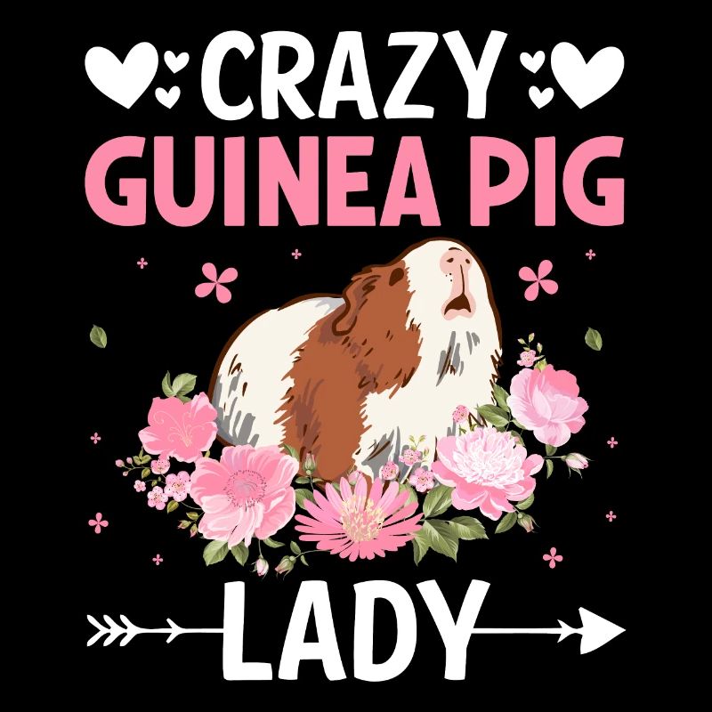 Dame cochon d’Inde folle