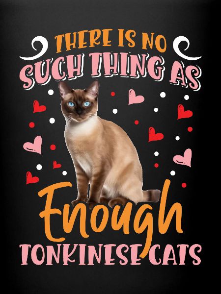 Chat tonkinois