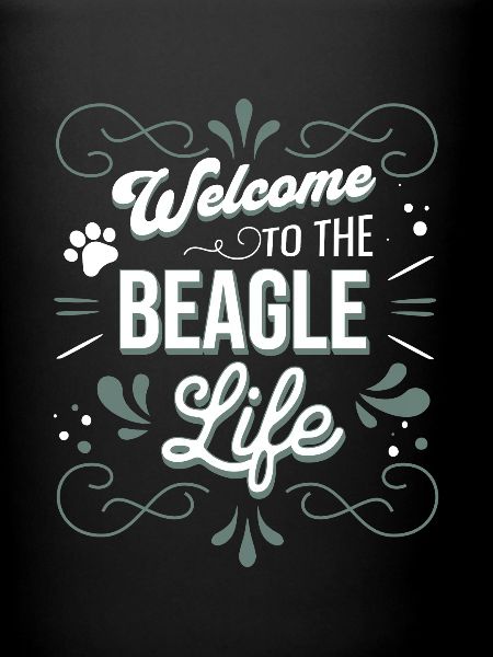 Beagle