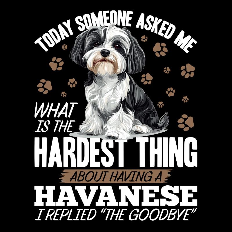 Mignon propriétaire de chien havanais