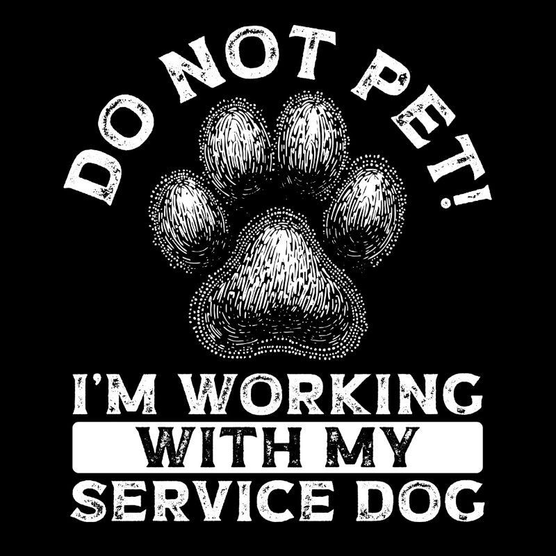Do Not Pet Working With My Servicervice dog