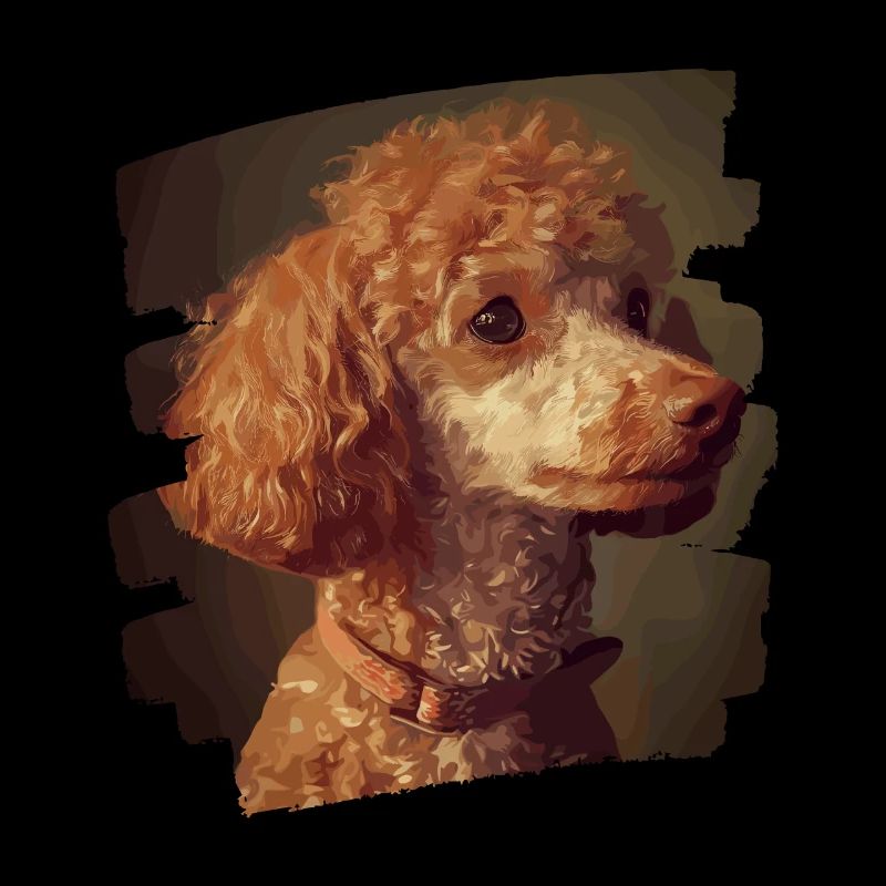 Caniche