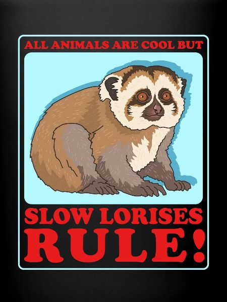Cadeau Slow Lorises