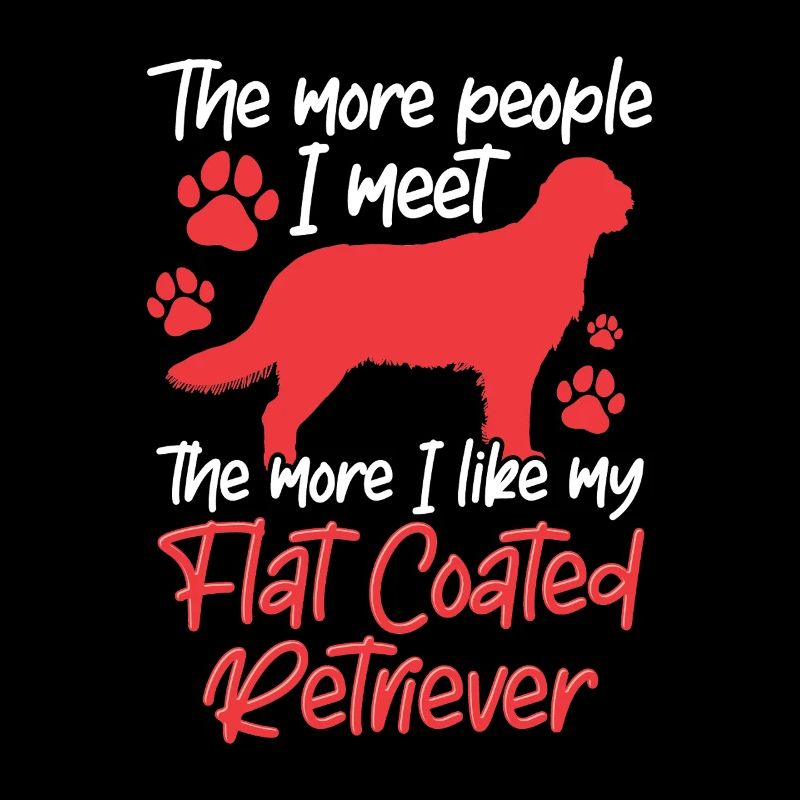 Flat Coated Retrievers like more