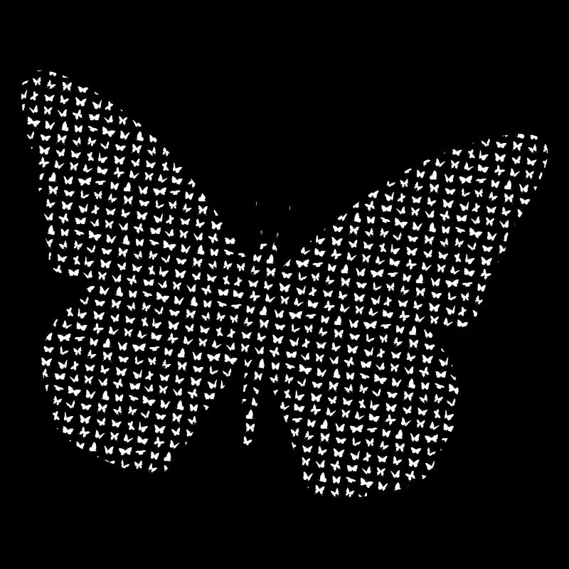 Papillon papillon