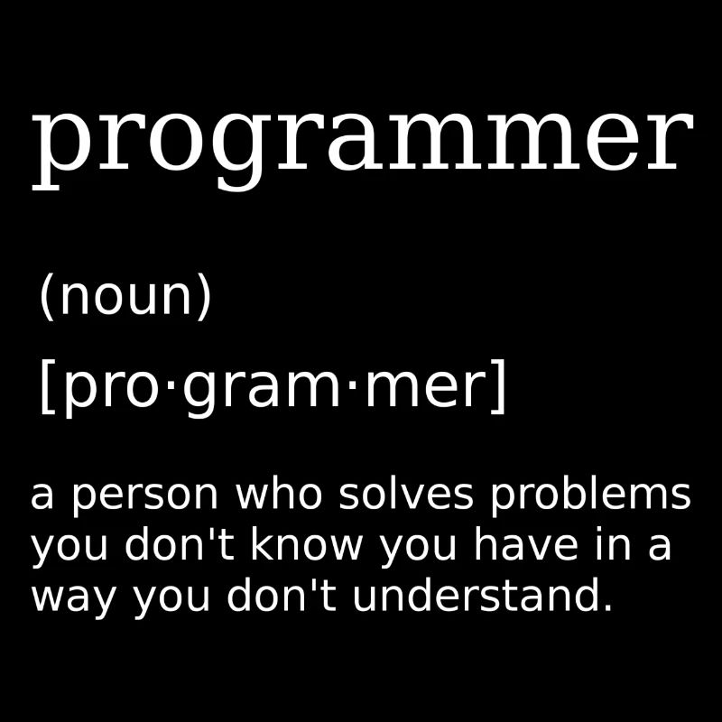 Programmer Spruch Informatiker Computer Scientist