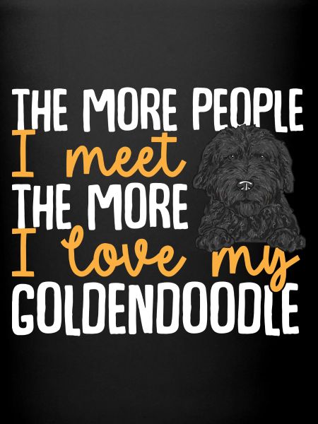 Chien Doodle Black Goldendoodle