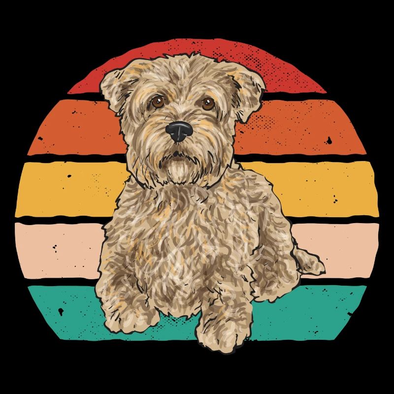 Cairn Terrier Chien