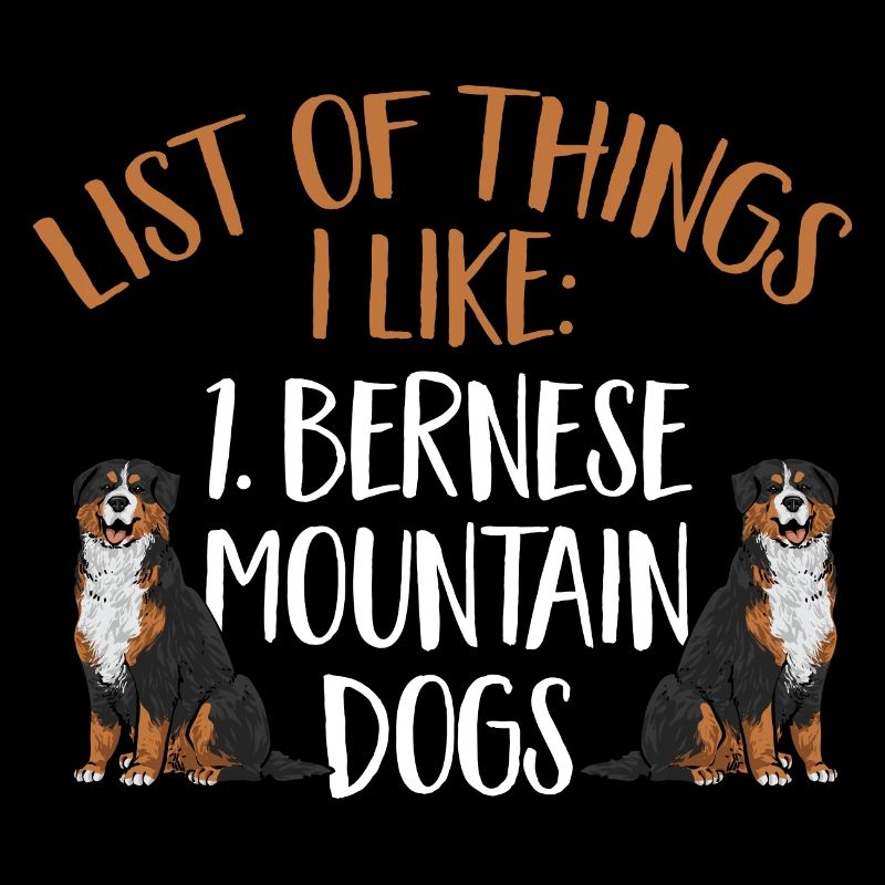 Bouvier bernois
