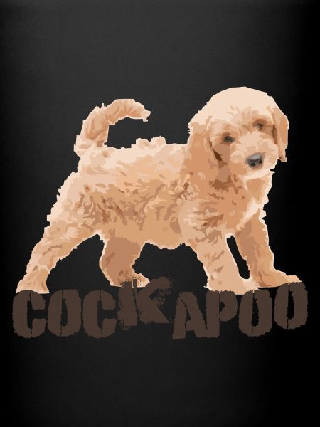 Cockapoo