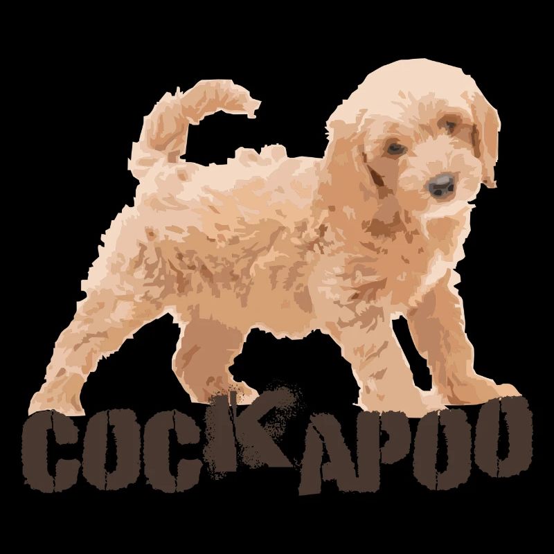 Cockapoo