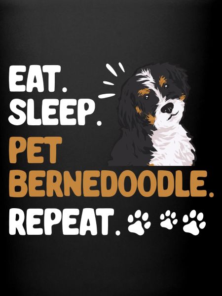 Bernedoodle Chien