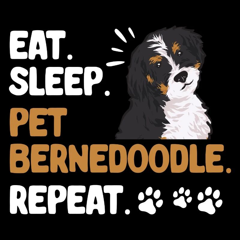 Bernedoodle Dog