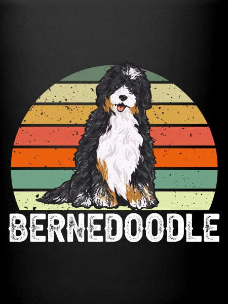 Bernedoodle Dog