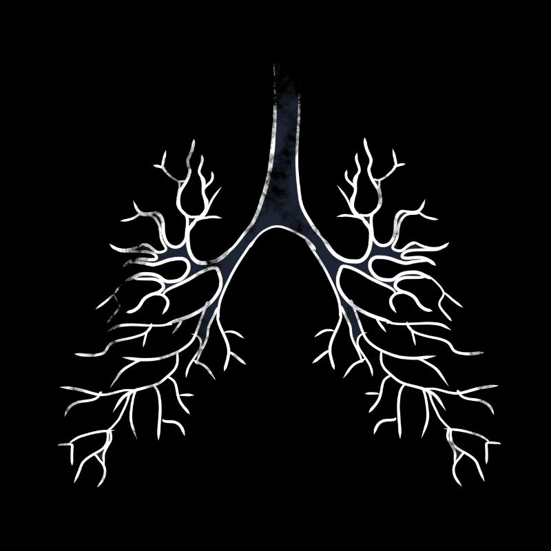Bronchi lungs