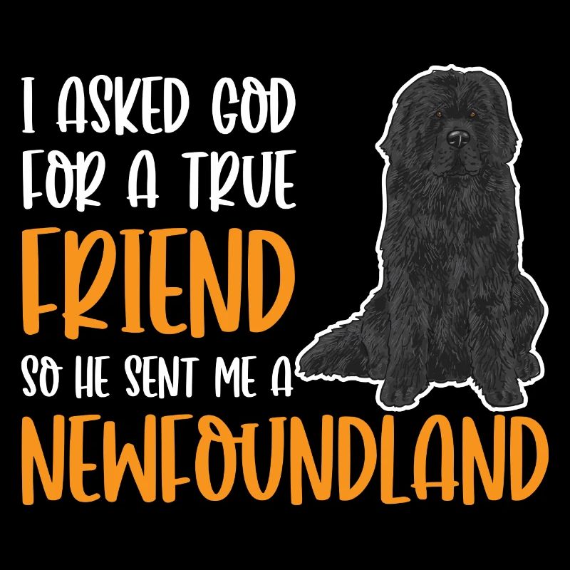 Terre-Neuve Chien de Terre-Neuve
