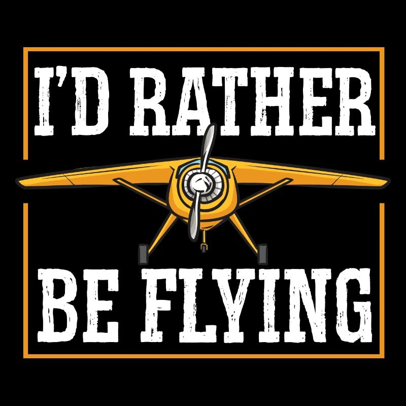 Remote Controlled Airplane Model Airplane