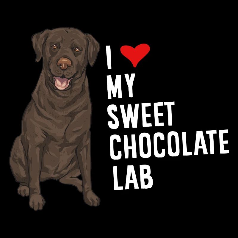 Chien Labrador Retriever chocolat