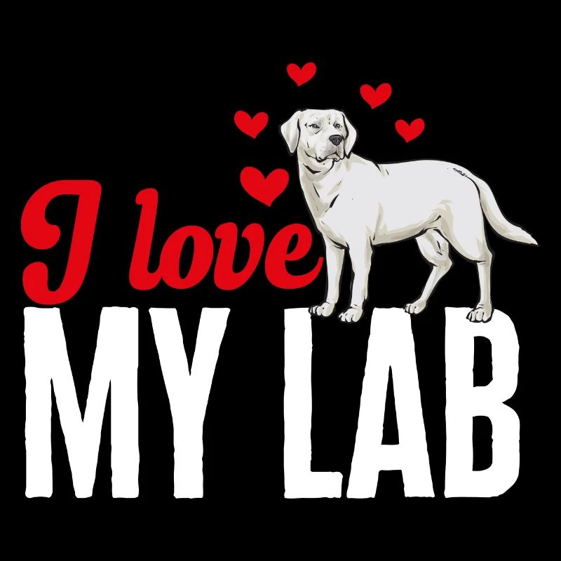 Labrador Retriever blanc Labrador Labrador blanc