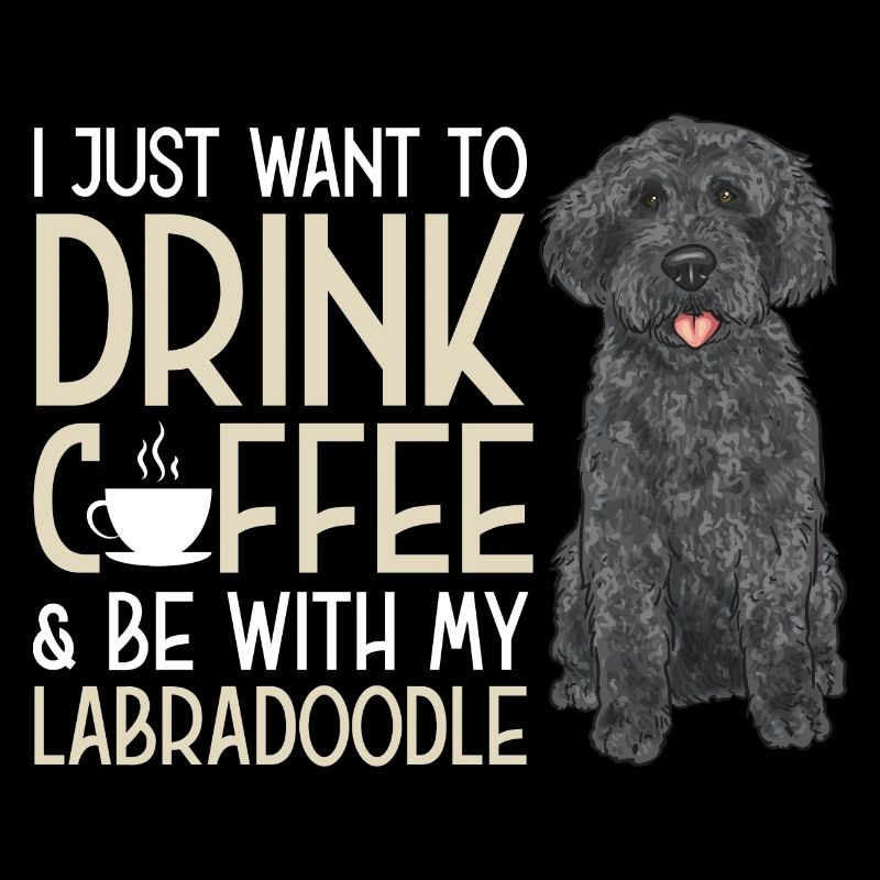 Labradoodle Hund
