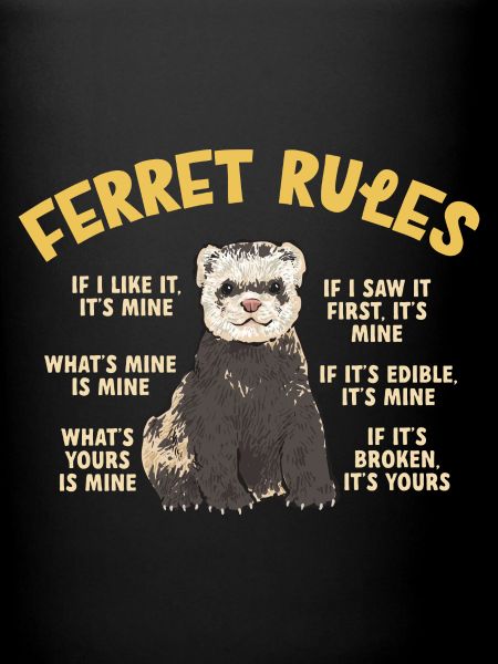Furet, propriétaire de furet