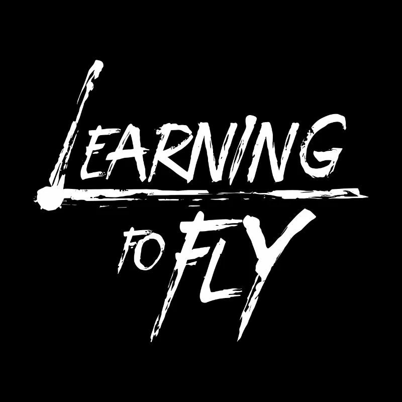 Learning to fly Flying Airplane Pilot Flyer