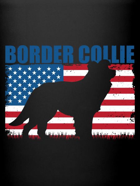 Border Collie Chien