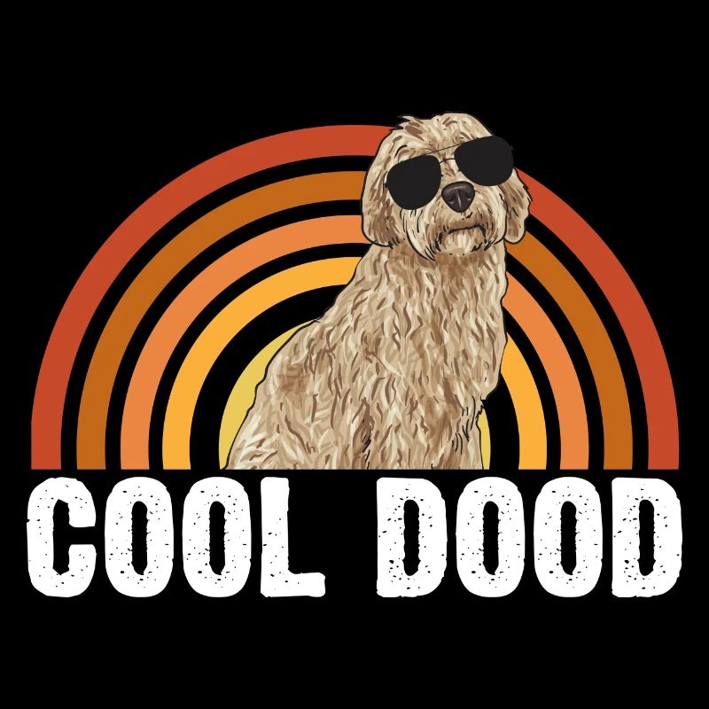 Labradoodle Hund