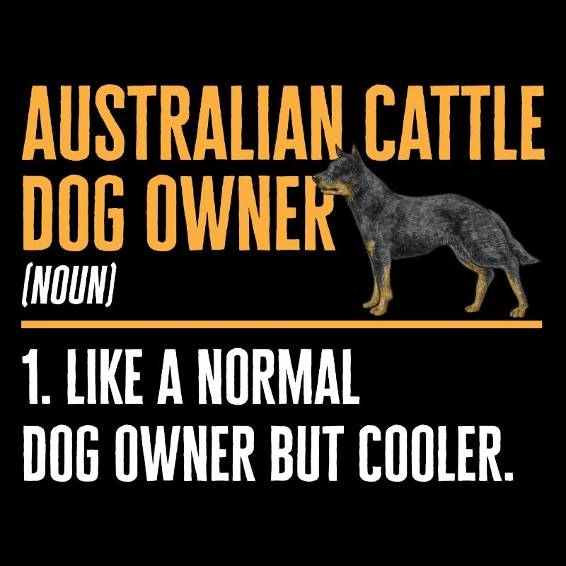 Bouvier australien Red Blue Heeler