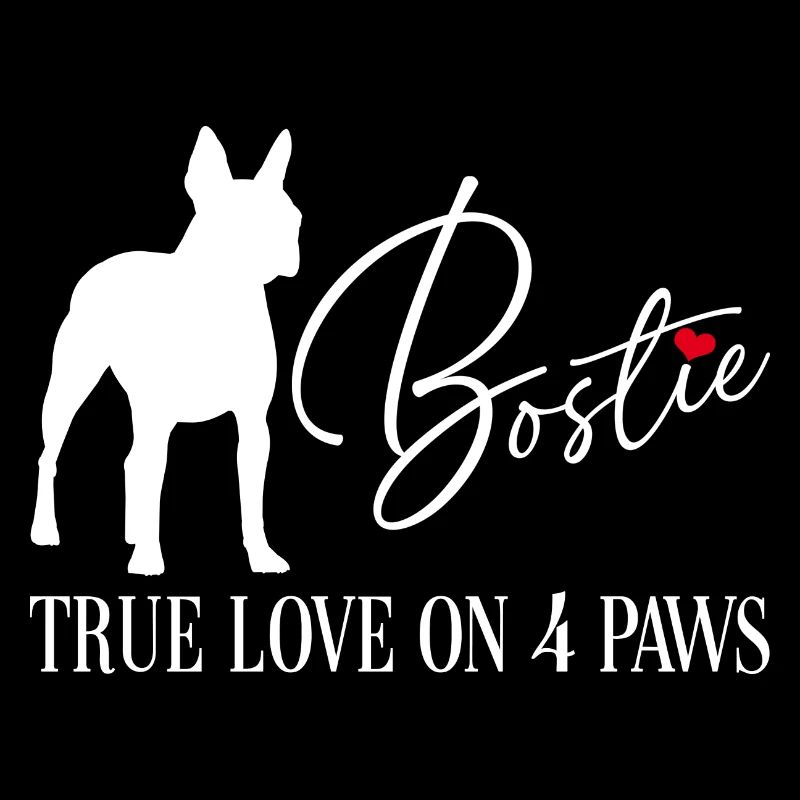 Bostie true love on four paws