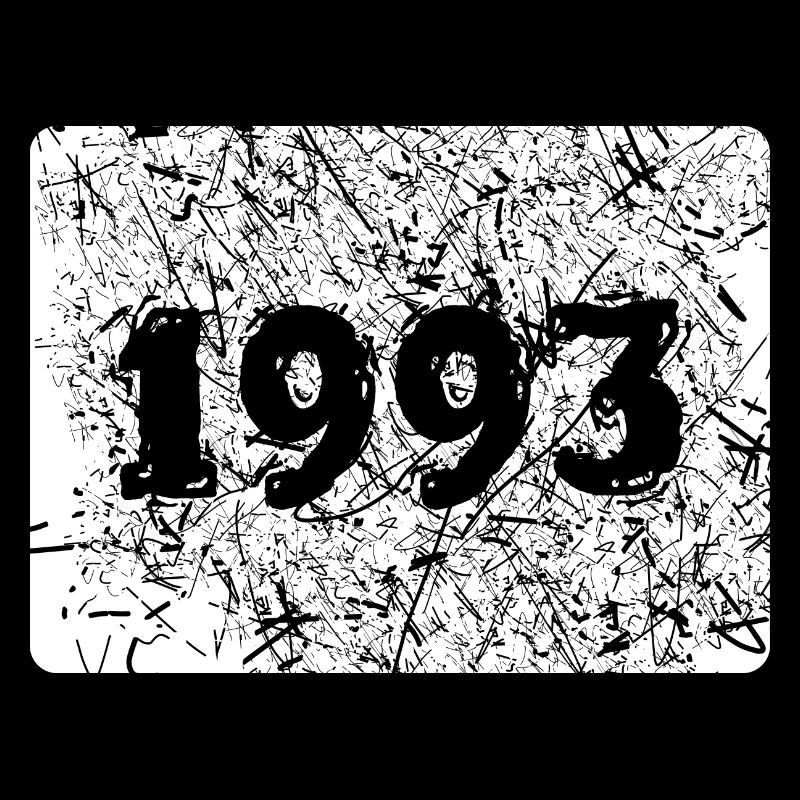 1993 1993