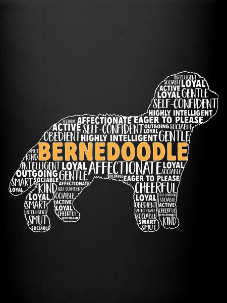 Bernedoodle Dog
