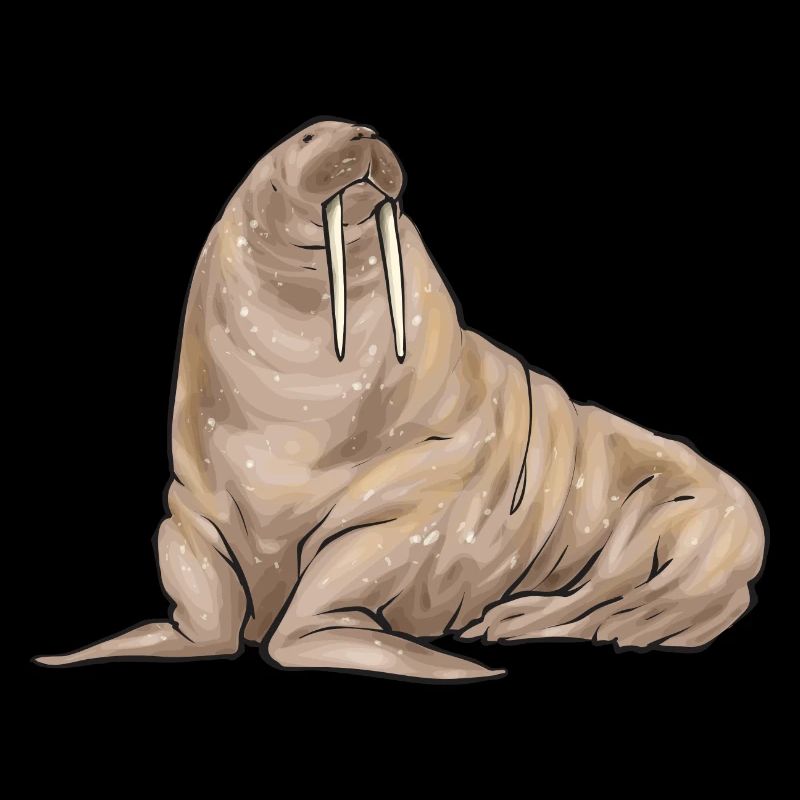 Walrus