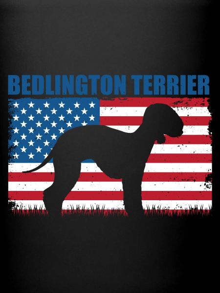 Bedlington Terrier