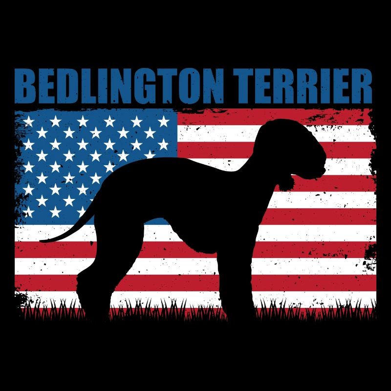 Bedlington Terrier